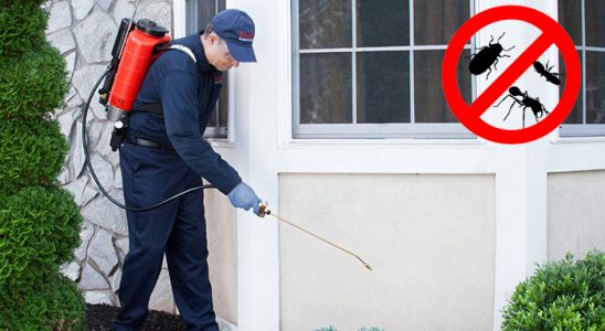 Saray Bit İlaçlama böcek ilaçlama ve haşere kontrolü — ilaclama-tr.com